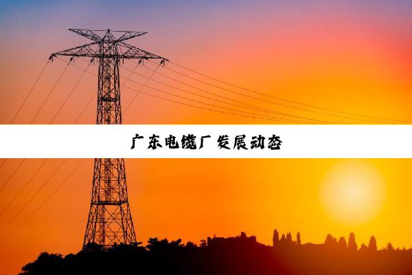 广东电缆厂发展动态