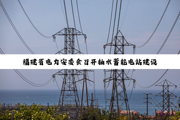 福建省电力安委会召开抽水蓄能电站建设运行安全管理经验交流会