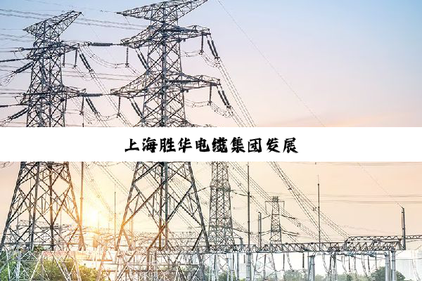 上海胜华电缆集团发展